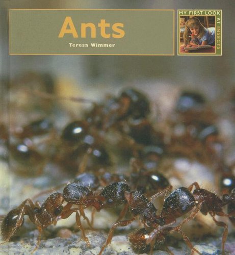 Ants (My First Look At: Insects)