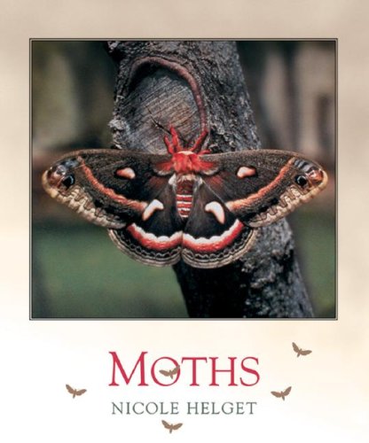 Moths (Bugbooks)