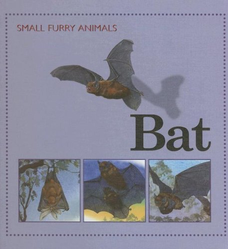 Bat (Small Furry Animals)