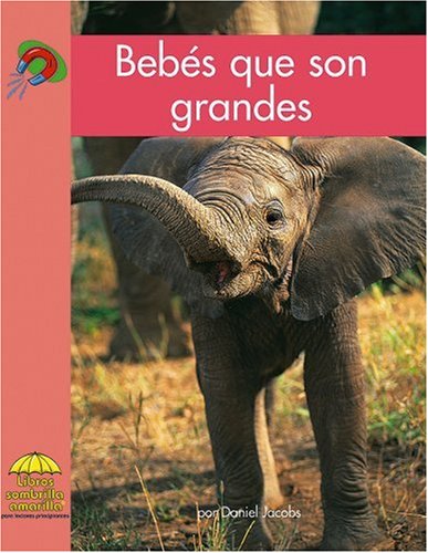 Bebés que son grandes (Yellow Umbrella Spanish Fluent Level) (Spanish Edition)