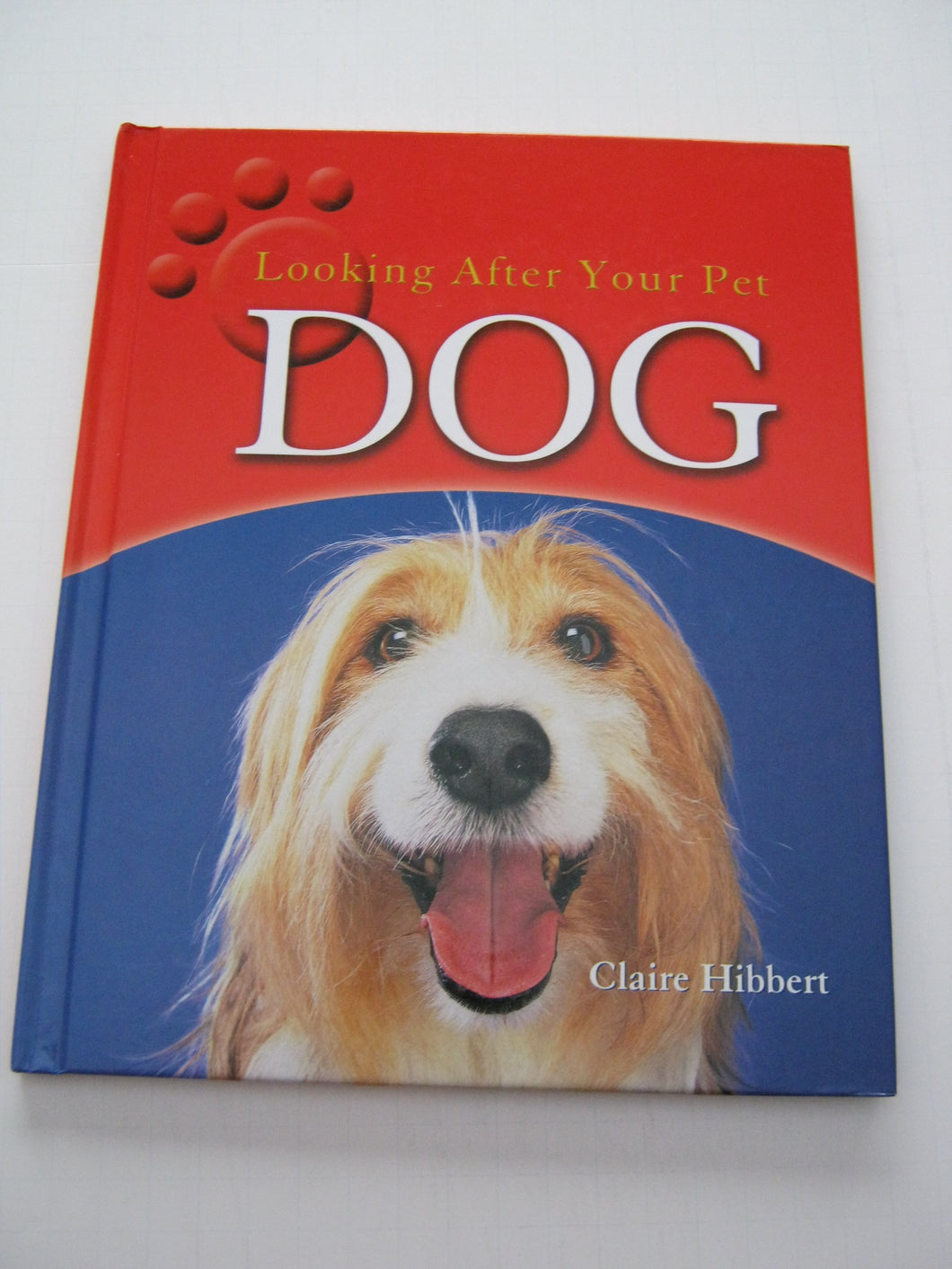 Looking After Your Pet Dog