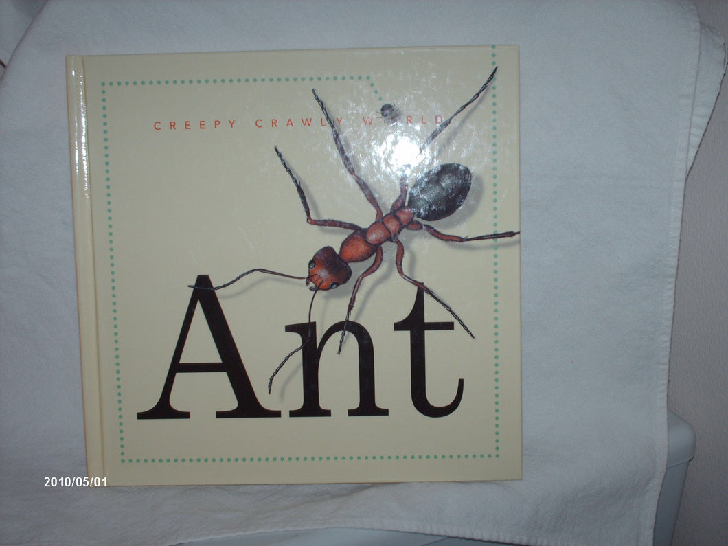 Ant (Creepy Crawly World)