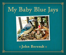 Load image into Gallery viewer, My Baby Blue Jays

